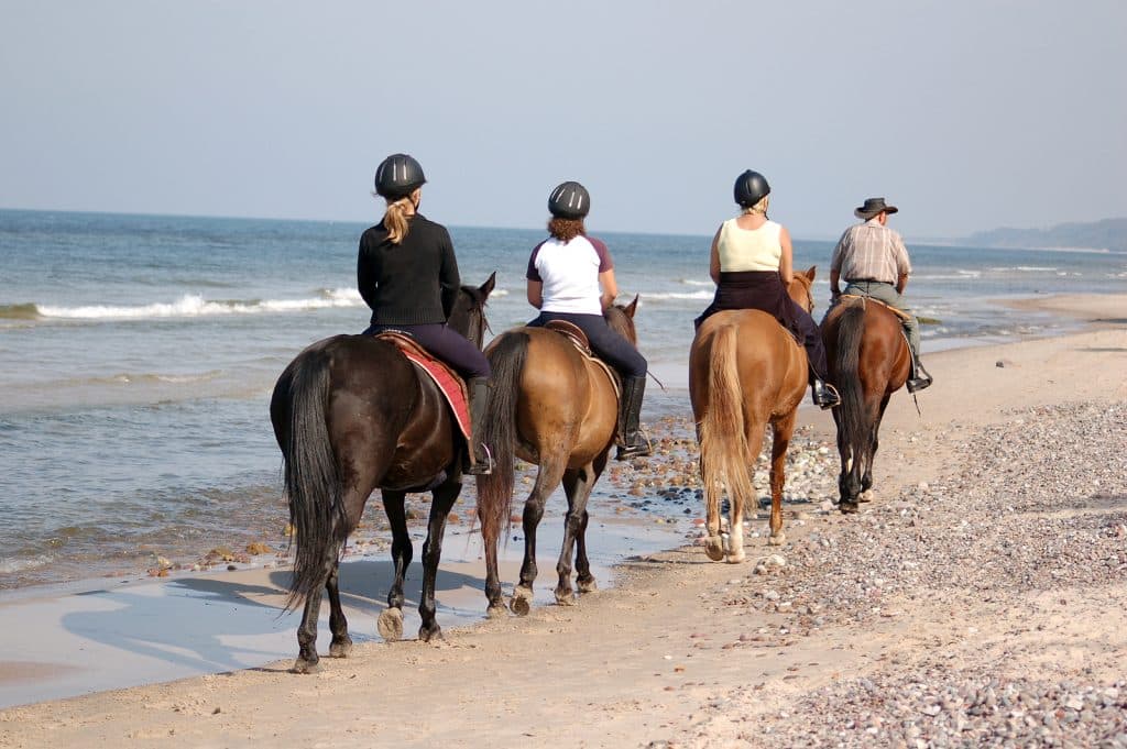 Seaside Destinations in the Carolinas By Boardwalk Resort Vacations